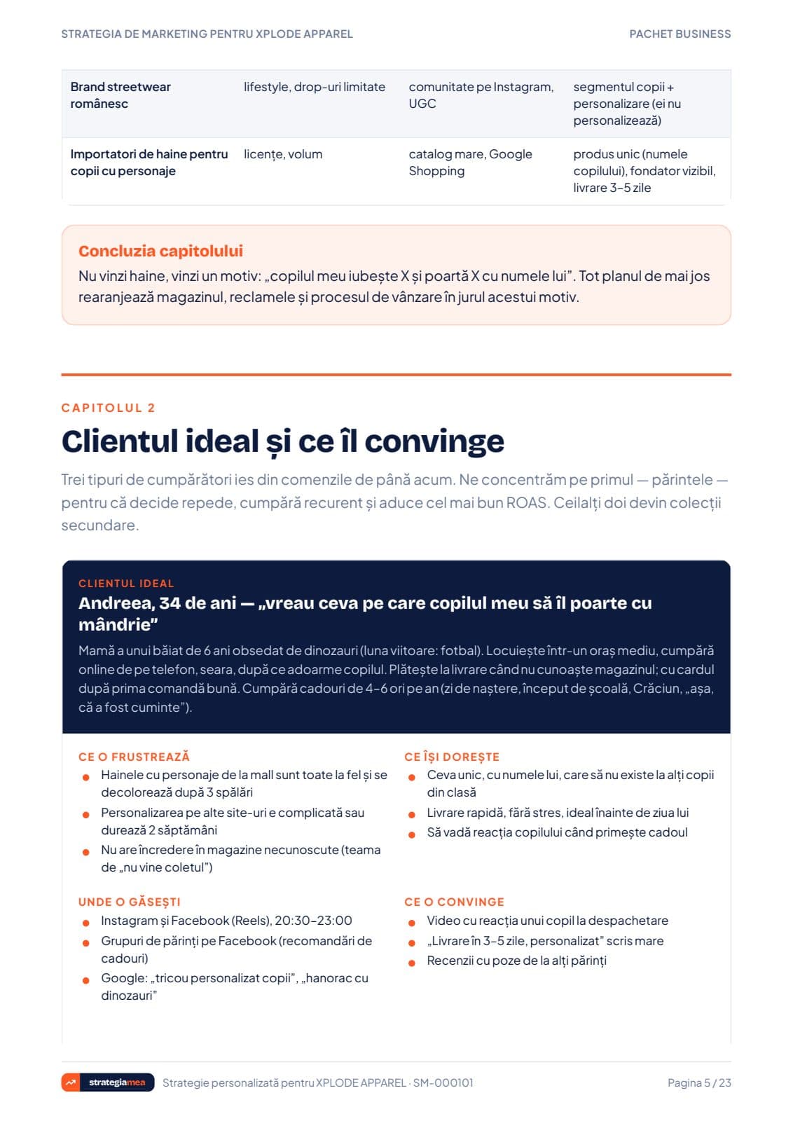 Pagina cu clientul ideal din strategie
